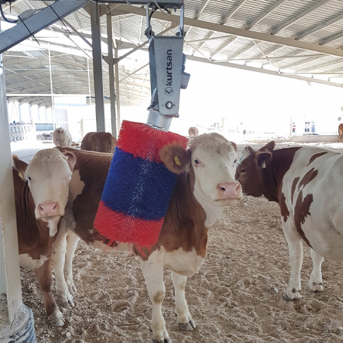 Автоматическая чесалка для скота Kurtsan KM05018 (Оцинкованная)