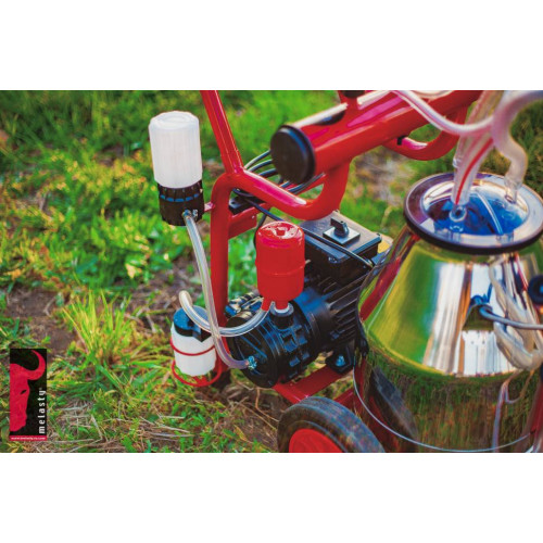 Доильный аппарат Melasty Junior TJY 1-PS масляный насос