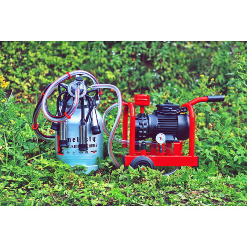 Доильный аппарат ТMDК 1АК, для коров, одна подвеска, бидон 30л, Меласти (Melasty) 